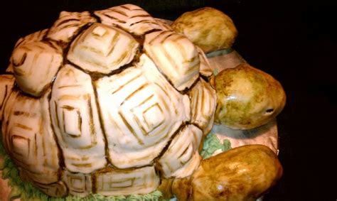 Tortoise Cake Tutorial 的图像结果