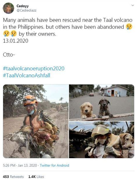 No, these photos show animals being rescued following volcanic ...