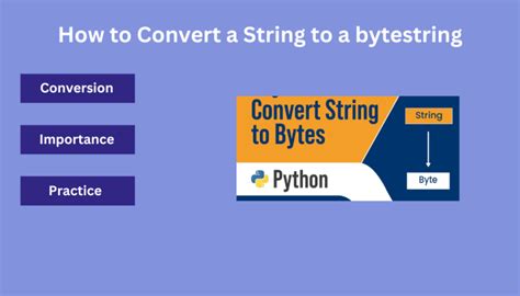 Image result for B Python