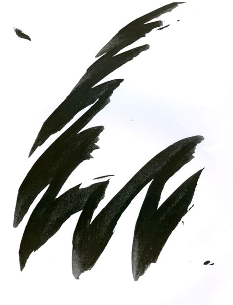 D'source From Seed to Tree | Exercises | D'Source Digital Online ...