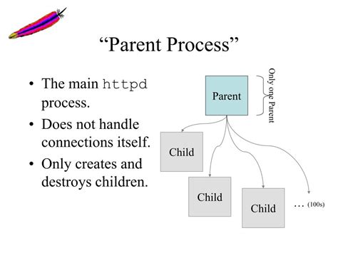 Process Tree Parent Process and Process 的图像结果