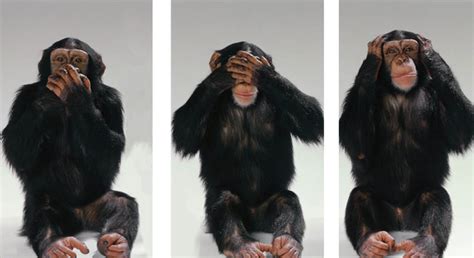 Speak No Evil, See No Evil, Hear No Evil - Art Panels by Christopher ...