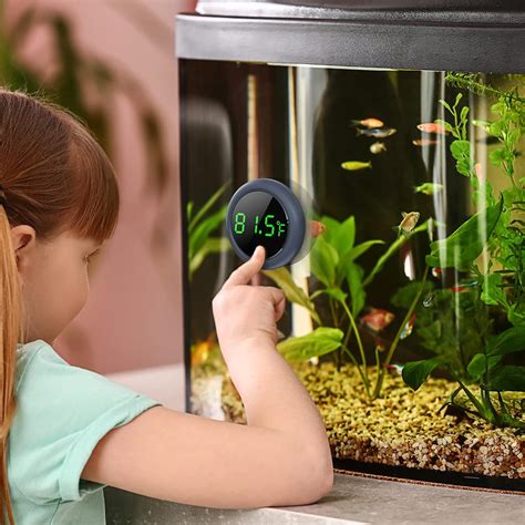 PAIZOO Fish Tank Digital Thermometer Accurate LED India | Ubuy