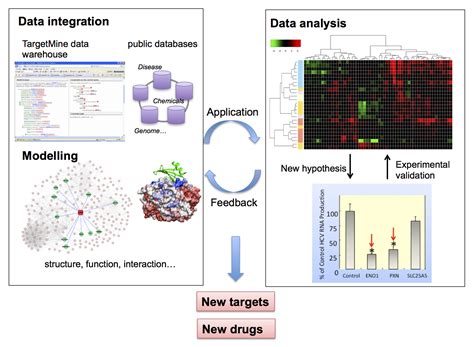Bioinformatics Modeling 的图像结果
