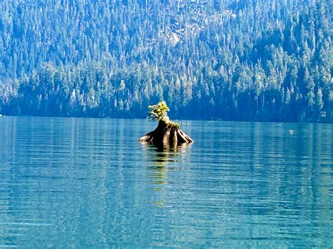 Swift Creek Campground in Mount Baker-Snoqualmie National Forest ...