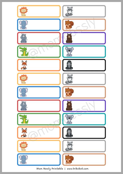 Image result for Daily Routine Examples