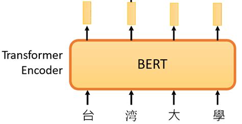 Image result for Bert Encoder Pytorch