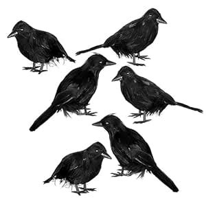 6 Packs Halloween Crow Decoration Set, Raven Decor Halloween Fake Crow ...