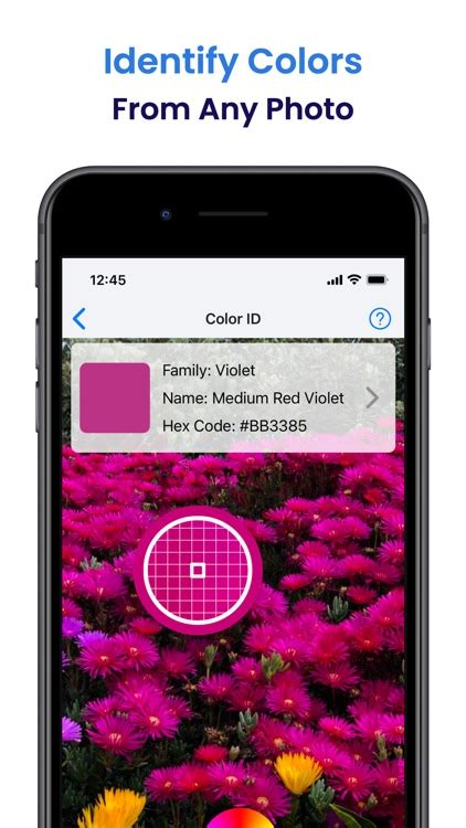 Color Identify 的图像结果