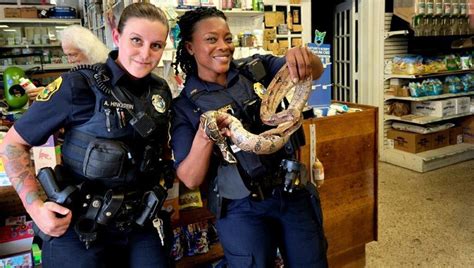 Clearwater man calls police after finding 5-foot snake hiding inside ...