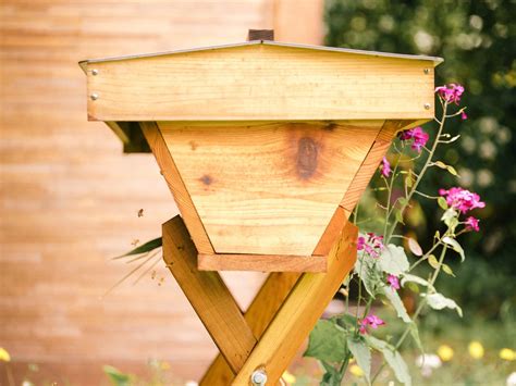 A Detailed Look at The Langstroth Beehive: Revolutionizing Beekeeping ...