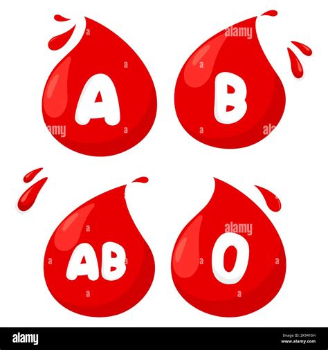Blood Type H/H