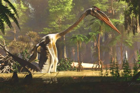 Fossils Reveal Unique Walking Behavior of Quetzalcoatlus | Sci.News