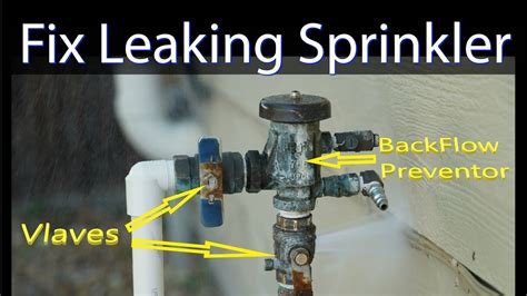 Image result for Backflow Valve Replacement