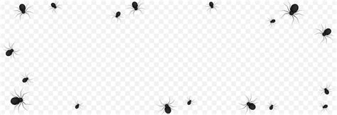 Wektor pająki na na białym tle przezroczyste tło. Tło z pająkami do ...