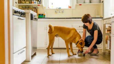 Pet dog feeding guide: How much should you really feed your dog daily ...