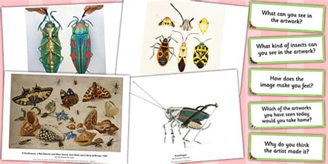 Looking at Insect Art Photopack and Prompt Questions - prompt
