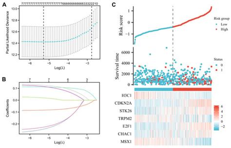Construction of Oxidative Stress-Related Genes Risk Model Predicts the ...