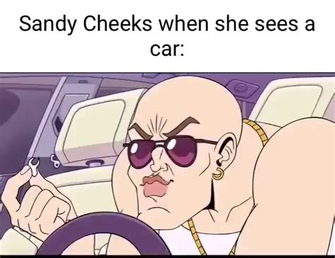 Image result for Sandy Cheeks Car