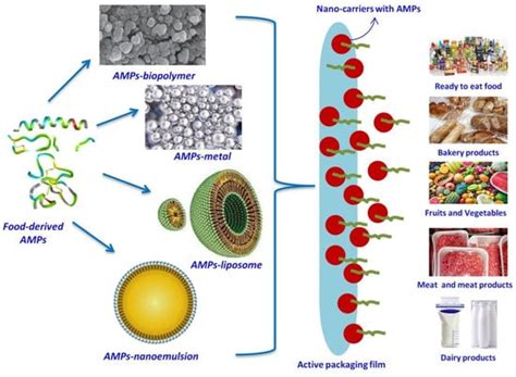 Antibiotics | Special Issue : Reviews on Antimicrobial Peptides
