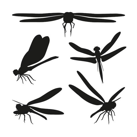 Vetores de Silhueta libelula - Baixe vetores grátis de alta qualidade ...