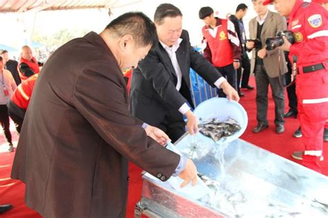 2017年菏泽市 “放鱼养水”活动启动仪式在曹县举行 - 每日头条