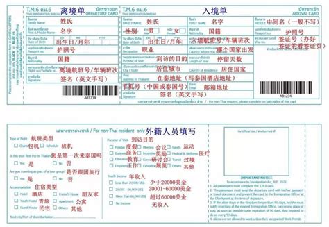 外国人签证申请表【】Word模板下载_编号lyxbndjg_熊猫办公