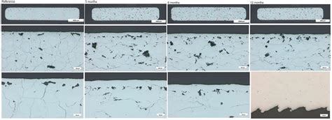 How Does the Biocompatibility of Molybdenum Compare to the Gold ...