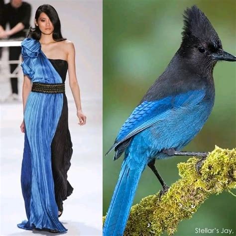 Fashion and nature – Artofit