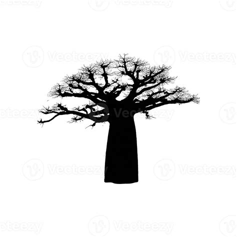 Baobab Silhouette Symbol isolated on transparent background 46823345 PNG