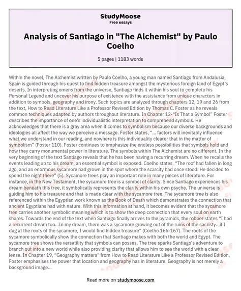 Analysis of Santiago in "The Alchemist" by Paulo Coelho Free Essay Example