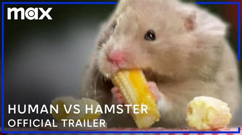 Python vs Hamster 的图像结果