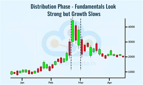 Market Cycles and Their Impact on Stock Fundamentals