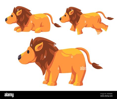 Lion africa hairy cute design illustration set collection of jungle ...