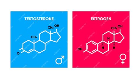 Premium Vector | Symbol of estrogen and testosterone skeletal formula ...