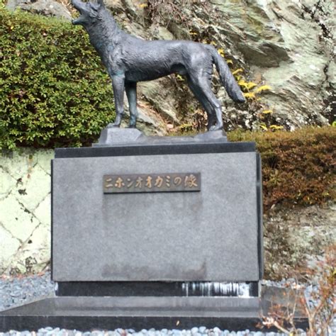 STATUE OF A JAPANESE WOLF - All You Need to Know BEFORE You Go 2026 ...