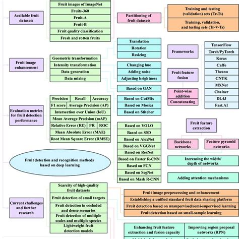 Image result for Tracking Algorithm Images Based On Fruits