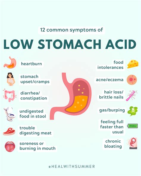 12 Common Signs of Low Stomach Acid in 2025 | Low stomach acid, Stomach acid, Healthy stomach