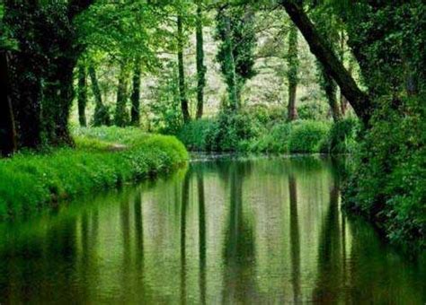 Good Environment Examples Pictures 的图像结果