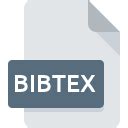 Image result for BibTeX File Icon
