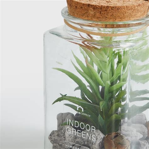 Buy Fiesta Artificial Tiger Succulent in Glass Jar from Home Centre at ...
