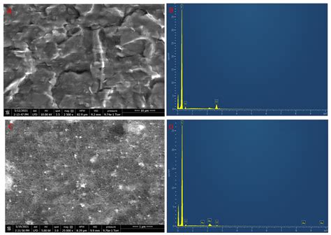 An Electrochemical Screen-Printed Sensor Based on Gold-Nanoparticle ...