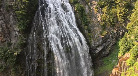 WHITTAKER'S MOTEL & HISTORIC BUNKHOUSE (Ashford) - Hotel Reviews ...