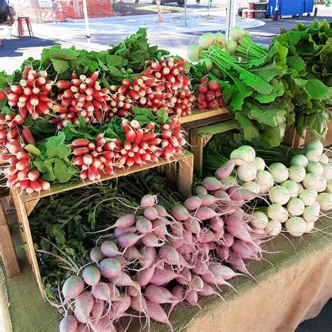 Order Online | Greens N Things Urban Farm