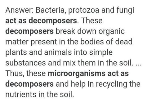 which microorganism acts as decomposers? How is this activity useful to ...