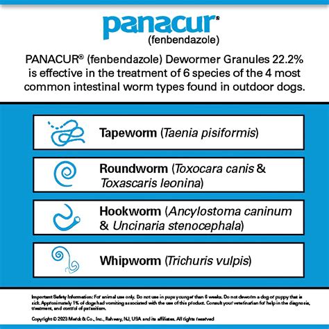 Panacur C (Fenbendazole) Canine Dewormer Powder by Merck, 4 grams