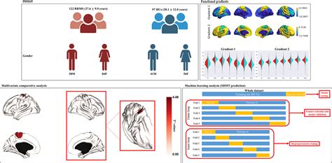 Image result for Brain Mapping Research