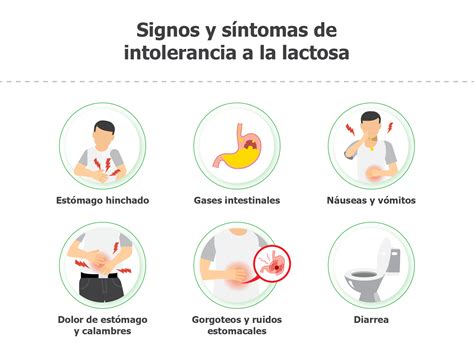 La Intolerancia a la Lactosa: Un Problema Creciente y sus Soluciones - Elprogresivo