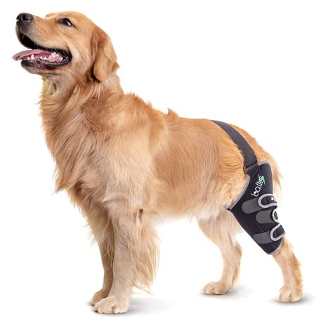 Buy Balto Sport Agile CCL Brace – Knee Support for Dogs – Soft ...