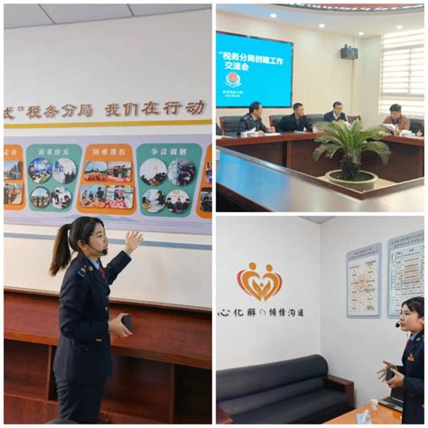 滁州市首家“枫桥式税务分局”正式挂牌成立_滁州市司法局